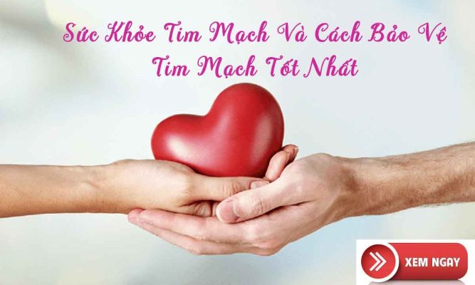 suc-khoe-tim-mach-va-cach-bao-ve-tim-mach-tot-nhat
