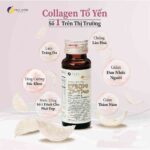 Nước Collagen Yến Nhật Bản Fine Japan Hyaluron & Collagen Premium With Swallow's Nest